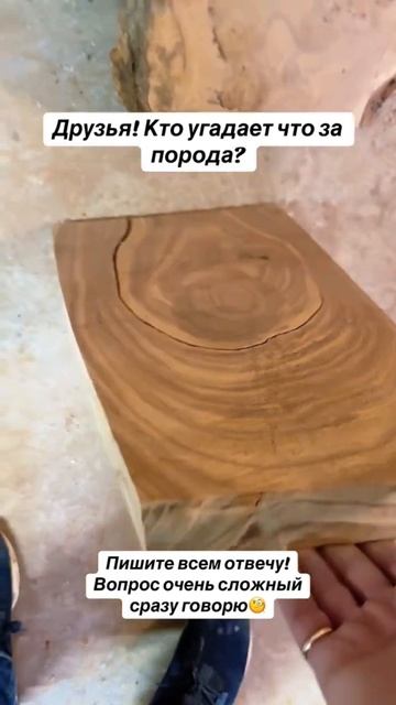 Кто сможет определить? Пишите всем отвечу!!!! #wood #дерев? смотреть онлайн