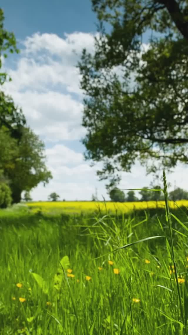 5 причин для экосредств Смарт.ру смотреть онлайн