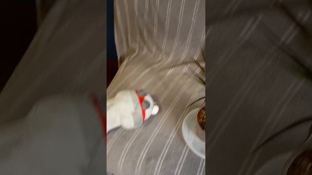 каникулы школа Play Time урок ботаники.mp4 смотреть онлайн