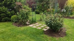 Уголки моего сада. Часть 2. Ленинградская область.