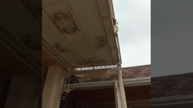 НАВЕСЫ 🌍КРАСОТКА ПОДПИШИТЕСЬ ВСЁ ВЗАИМНО БЕЗ ОТПИСК смотреть онлайн