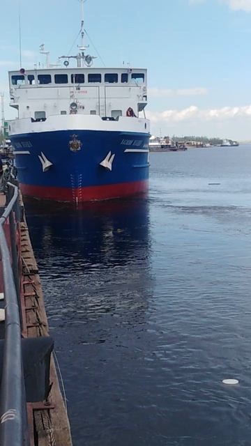 Вывод с дока смотреть онлайн