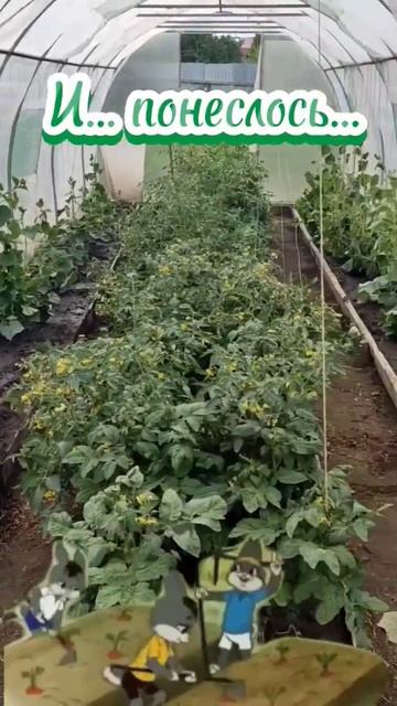 Нельзя просто так выйти в огород и не сорвать травинку смотреть онлайн