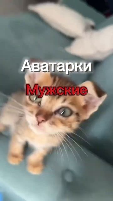 Все авы в тг:@saharok_eba #аватарки #авы #анимеавы #дота #крут?