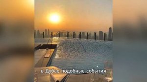 Порто Потти в Дубае: Это не для слабонервных! Шокирующ?