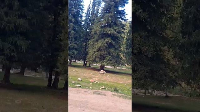 Fresh air. Чистый воздух смотреть онлайн