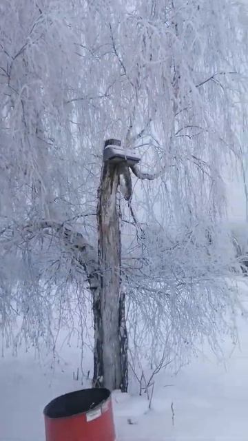 зимнее утро в деревне смотреть онлайн