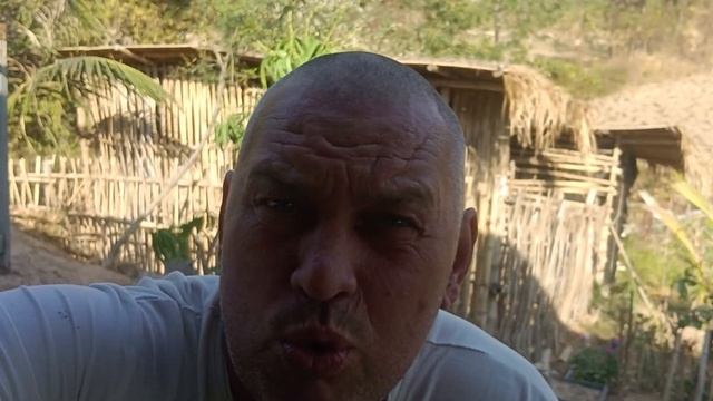 Россиян выгребают из Таиланда смотреть онлайн