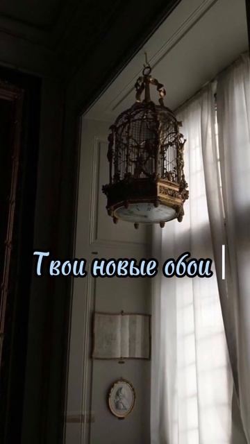 Твои новые обои #обои #обоинателефон #эстетика #красот? смотреть онлайн