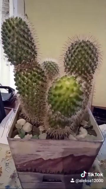 Роспись на цветочном горшке акриловыми красками смотреть онлайн