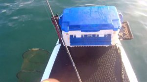 Рыбалка в Крыму на сап борде 2024