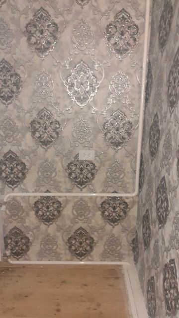 30 октября 2024 г.