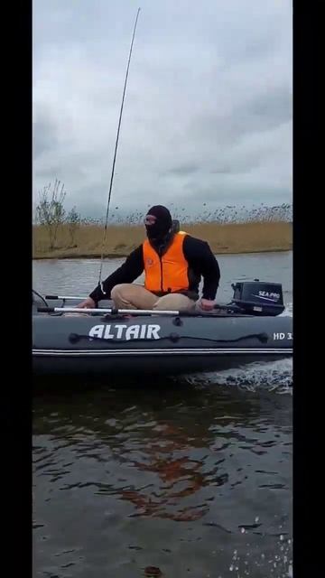Sea-Pro 9.8 New, лодка альтаир 320 HD пушка гонка смотреть онлайн