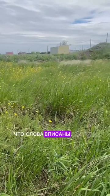 «Твое солнышко восходит» холст, масло, акрил. #алисаск? смотреть онлайн