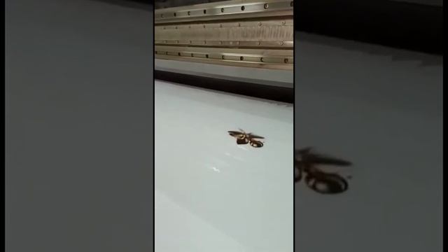 Процесс печати на натяжных потолках смотреть онлайн