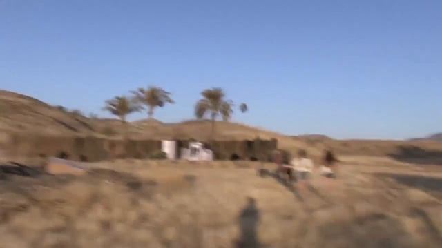 NHF #2: ВОЛЧЬЯ ТЬМА смотреть онлайн