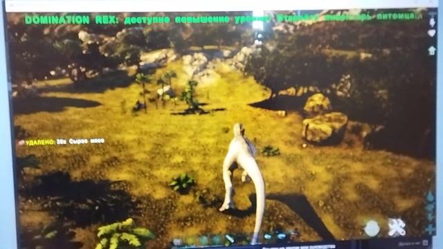 обзор на двух разных индоминуса. кто из них лучше смотреть онлайн