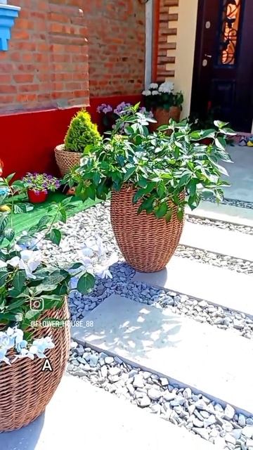 кашпо из искусственного ротанга 🧺🌺❤️ смотреть онлайн