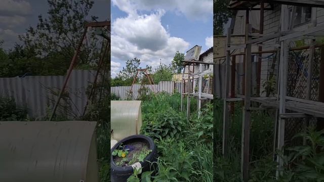 1000105301.mp4 смотреть онлайн