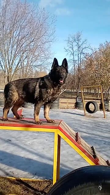 ФРИДА Минск Беларусь СЕРЕБРЯНКА 14.02.2023 смотреть онлайн