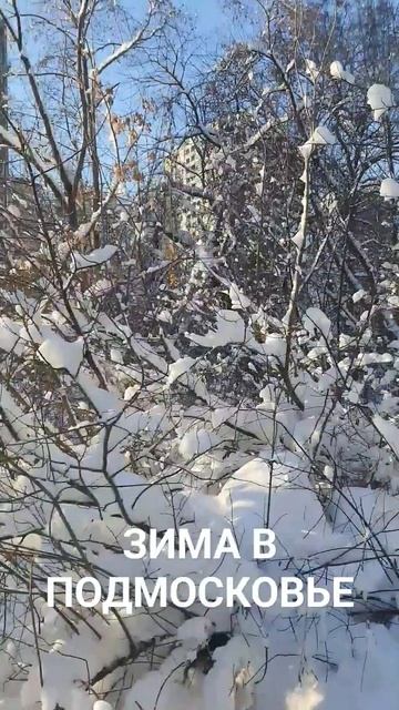 Пушкино Московская обл 08.02.2024 #shortvideo #shorts #short смотреть онлайн