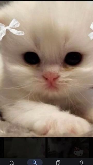 Идеи на обои# смотреть онлайн