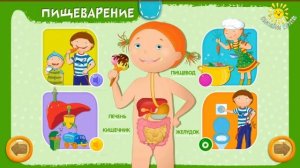 Анатомия человека для детей