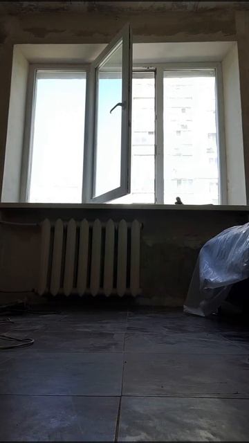 финишная шпатлёвка оконных откосов под покраску. уско смотреть онлайн