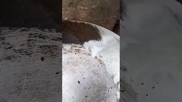 очистка многолетнего нагара на сковородке или когда ? смотреть онлайн