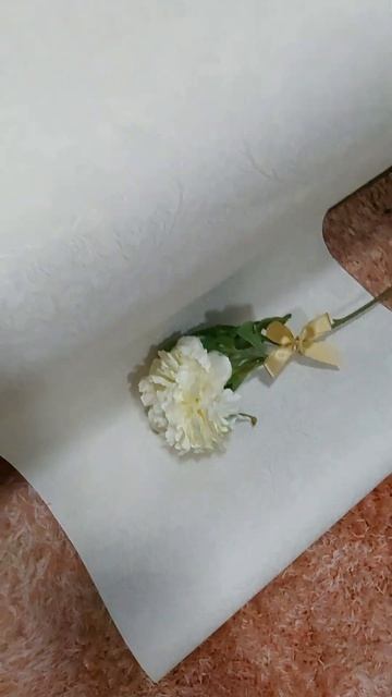 Обои Болеро Дамаск фоновые смотреть онлайн