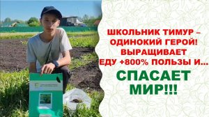 Итальянский гигант. Как вырастить вкусную петрушку с биотехнологией АС-35? Это просто и интересно!