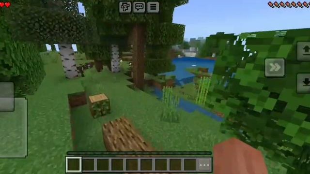 ЗАХОЖУ НА РАЗНЫЕ СИДЫ В МАЙНКРАФТ #minecraft #сиды #херобри?