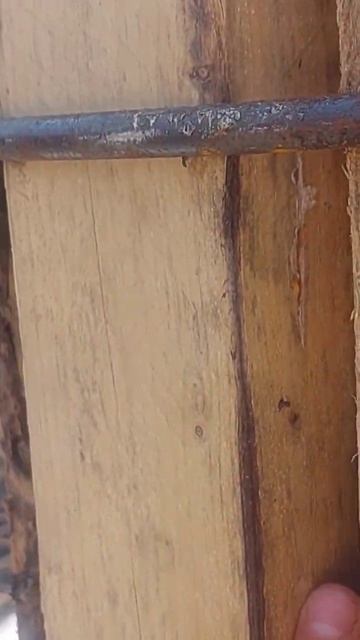 Особенности закрепления одноразовой радиальной опал? смотреть онлайн