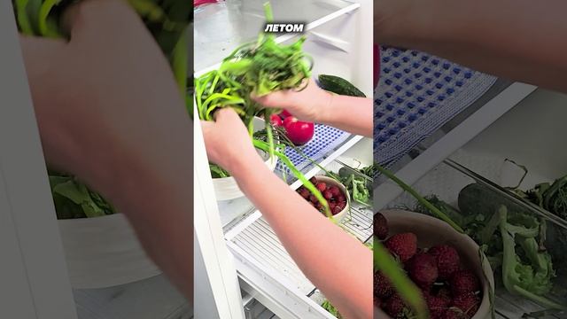 Эти хитрости вас удивят! Как избавится от запаха в холодильнике #запахи #хитрости #lifehacks #совет смотреть онлайн