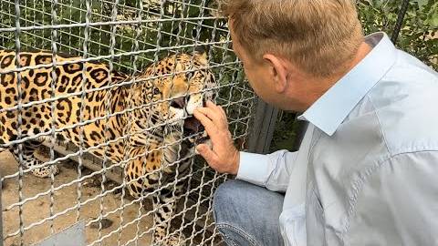 В Московском ЗОО пытались отравить животных,а Олегу Зубкову угрожали УБИТЬ ДЕТЕЙ смотреть онлайн