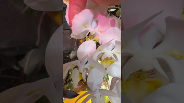 Мой уголок. Часть 1 смотреть онлайн