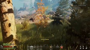 Nightingale Первый взгляд