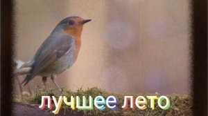 ⚡️Лучшее лето. Саблиминал