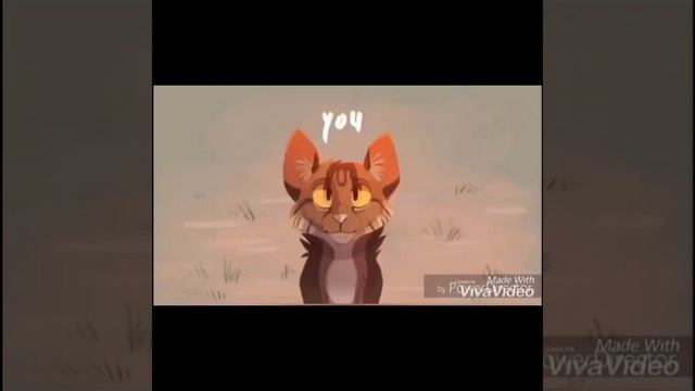Meme ||Warriors|| Меме|| коты воители ||ticking Meme