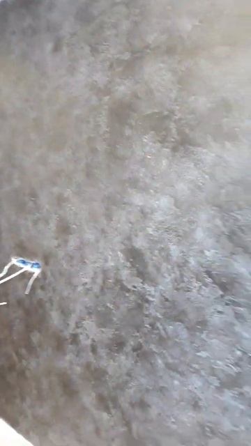 ДЕКОРАТИВКА ЗА КОПЕЙКИ из гипсовой штукатурки 100р.м2 смотреть онлайн