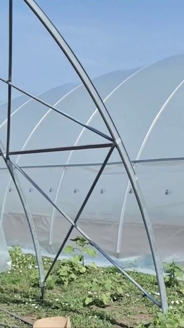 монтаж теплицы в Адыгее #теплица #дача #монтажтеплицы # смотреть онлайн