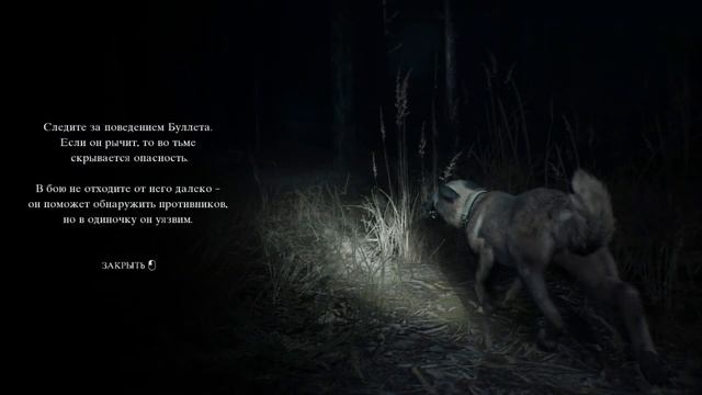 ЛИЦОМ К ЛИЦУ СО ЗЛОМ: BLAIR WITCH #2 смотреть онлайн