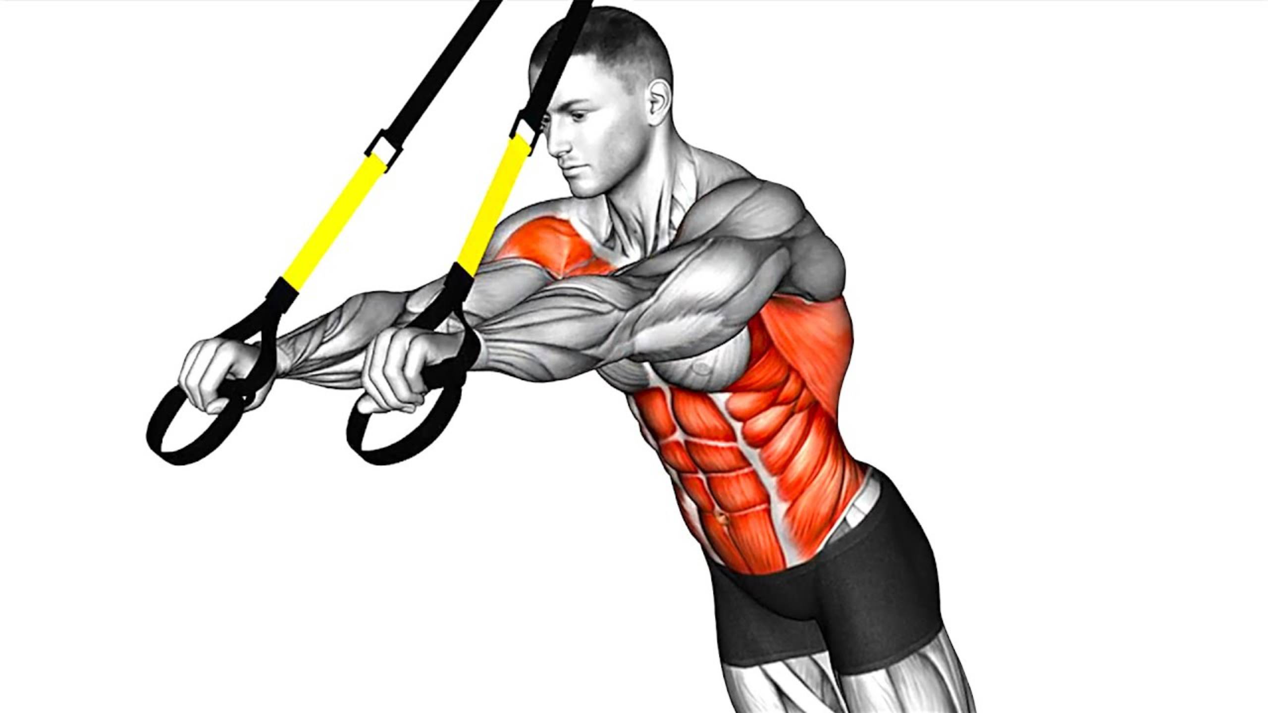 Тренировка с Собственным Весом (силовые упражнения с ремнями) смотреть онлайн