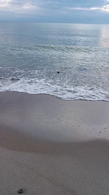 а рыбка идет смотреть онлайн