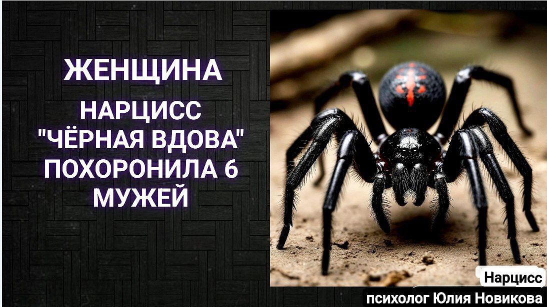 Нарцисс "чёрная вдова" похоронила 6 мужей