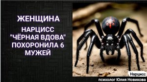 Нарцисс "чёрная вдова" похоронила 6 мужей