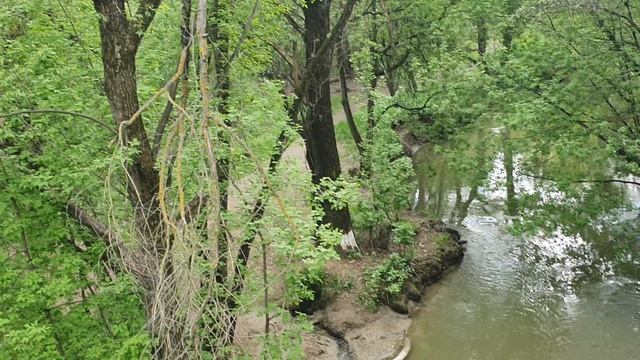 Святой источник святителя Киприана у Старорублёвского моста р-н Раменки Москва Родник Мосфильмовский смотреть онлайн