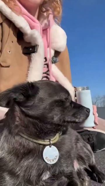 Добрый Кубанский день готовимся накрывать теплицу #gard смотреть онлайн