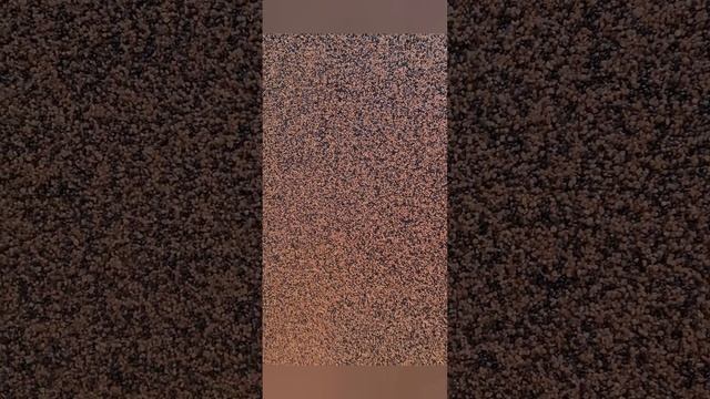 Мозаїчна штукатурка Termo Bravo байрамикс смотреть онлайн