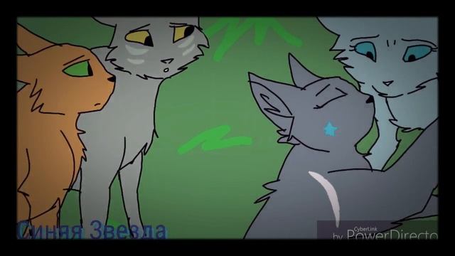 Коты-Воители Blue Star Aquarius Sign